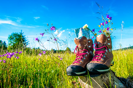 sommer